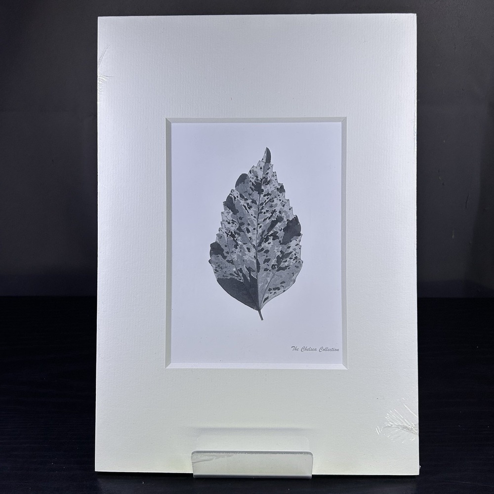 IKEA BILD FJALLSTA Photographic Print Art (4x) Matted B&W Art 11.75" x 8.25" - Picture 2 of 7